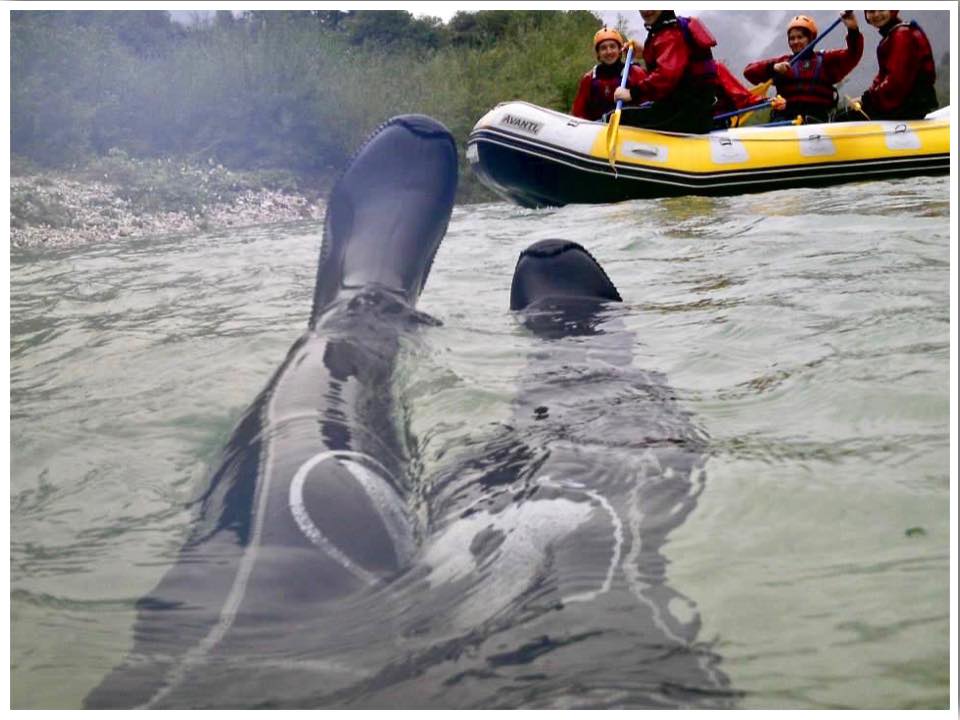 Lake Bled Day Trips White Water Rafting