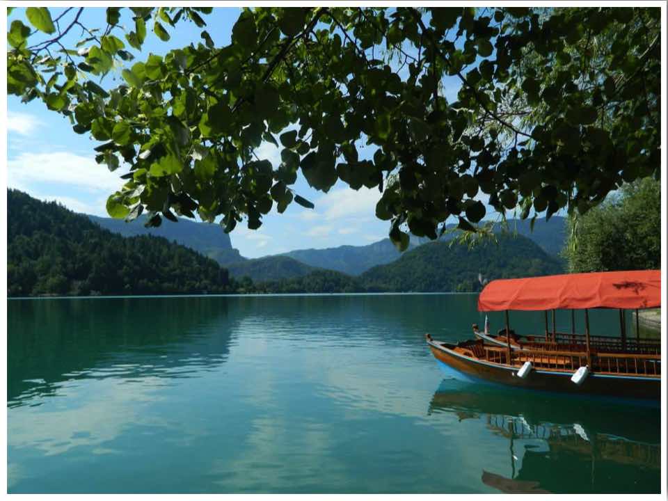 Lake Bled Things To Do Pletna