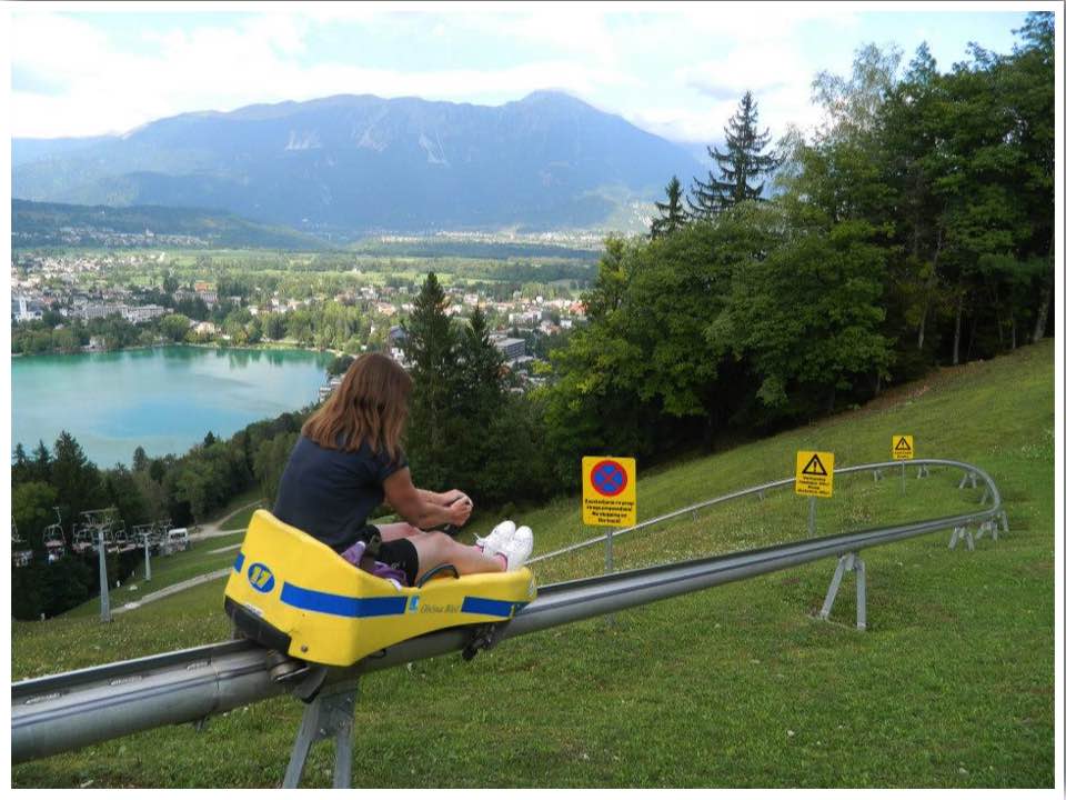 Lake Bled Summer Toboggan