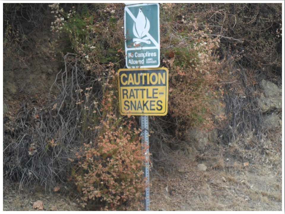 Hiking In The Hollywood Hills