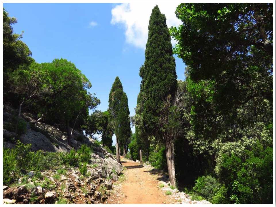 Lokrum Island Dubrovnik Croatia
