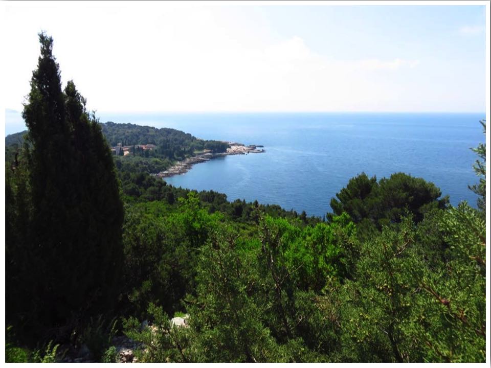 Lokrum Island 