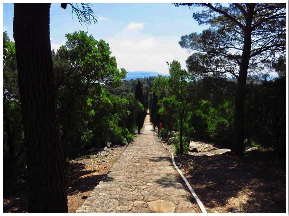Lokrum Island Path of Paradise