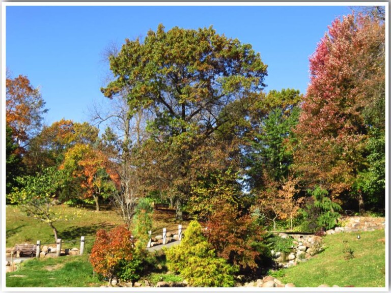 Dubuque Arboretum Iowa