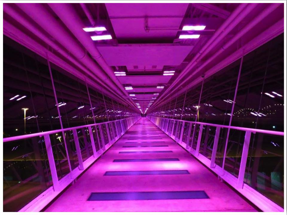 SkyBridge Davenport Iowa