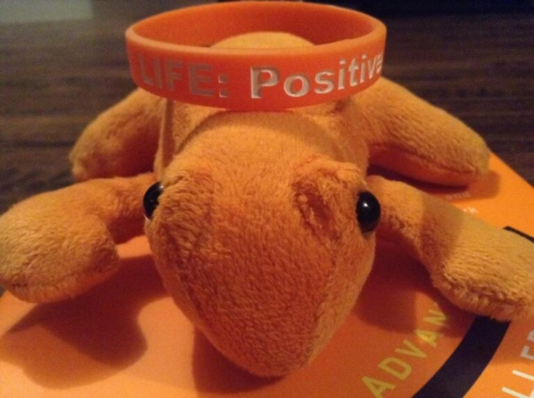 The Orange Frog - Shawn Achor