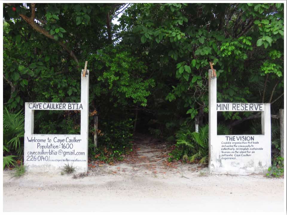 Caye Caulker Mini Reserve