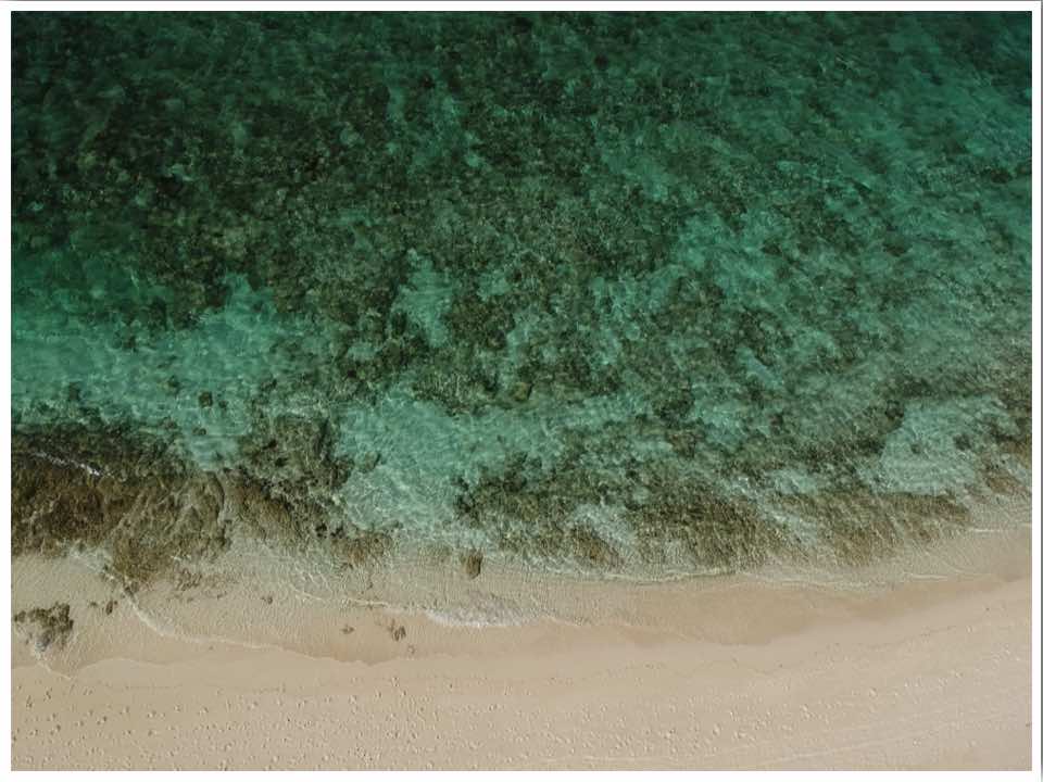 Turks and Caicos Providenciales Smith's Reef