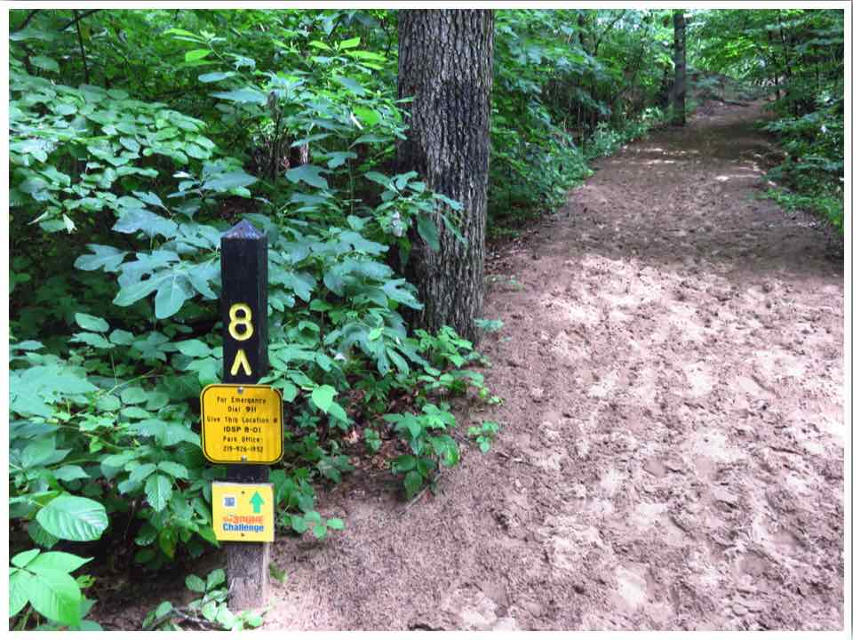 Indiana Dunes Things To Do 3 Dune Challenge