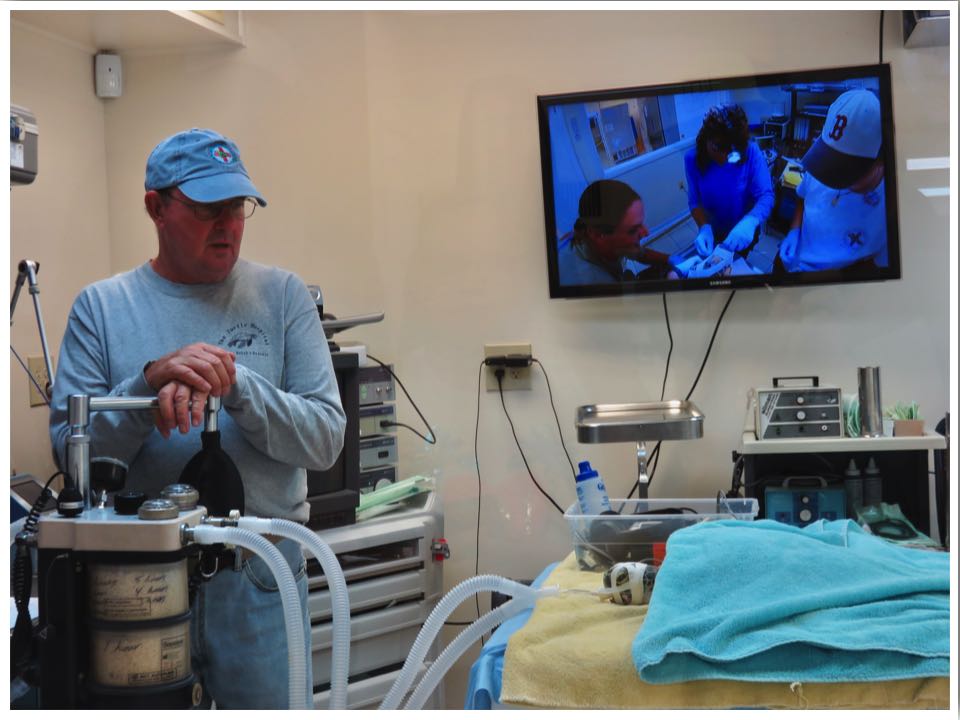 The Turtle Hospital Marathon Florida Surgery Room