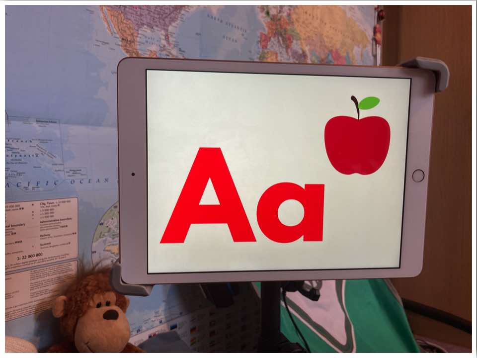 Teaching English Online Digital Flashcards