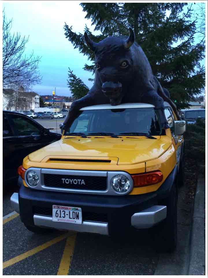 Buffalo Phil's delivery vehicles with buffalo on roof Wisconsin Dells