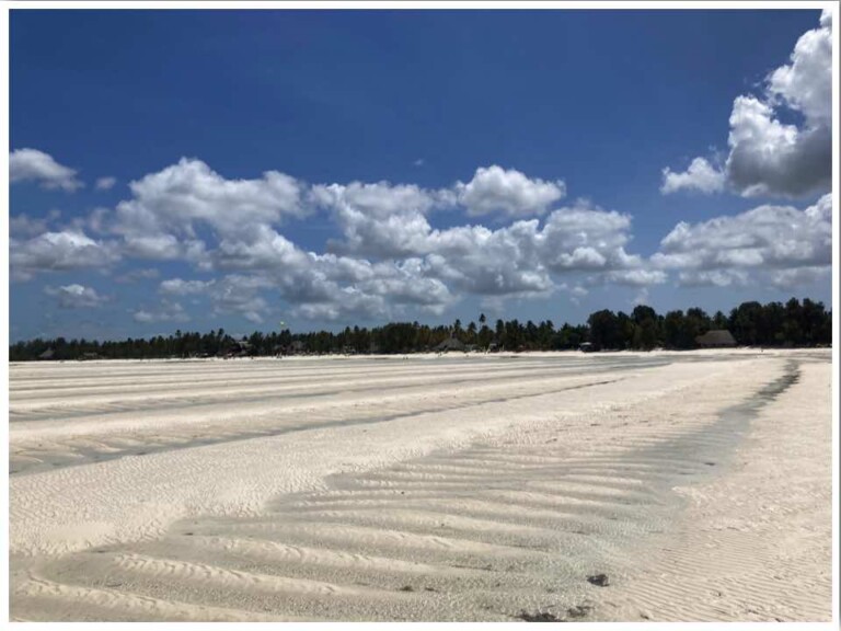 Paje Beach Zanzibar at low tide