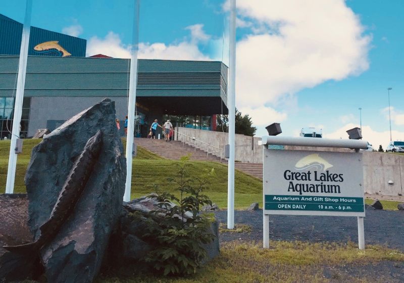 Great Lakes Aquarium Minnesota. Photo credit: Suzy Sisters of the Spoon
