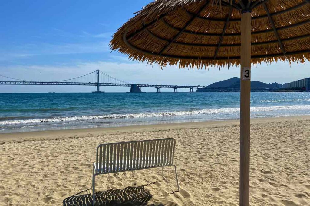 Gwangalli Beach bench and umbrella